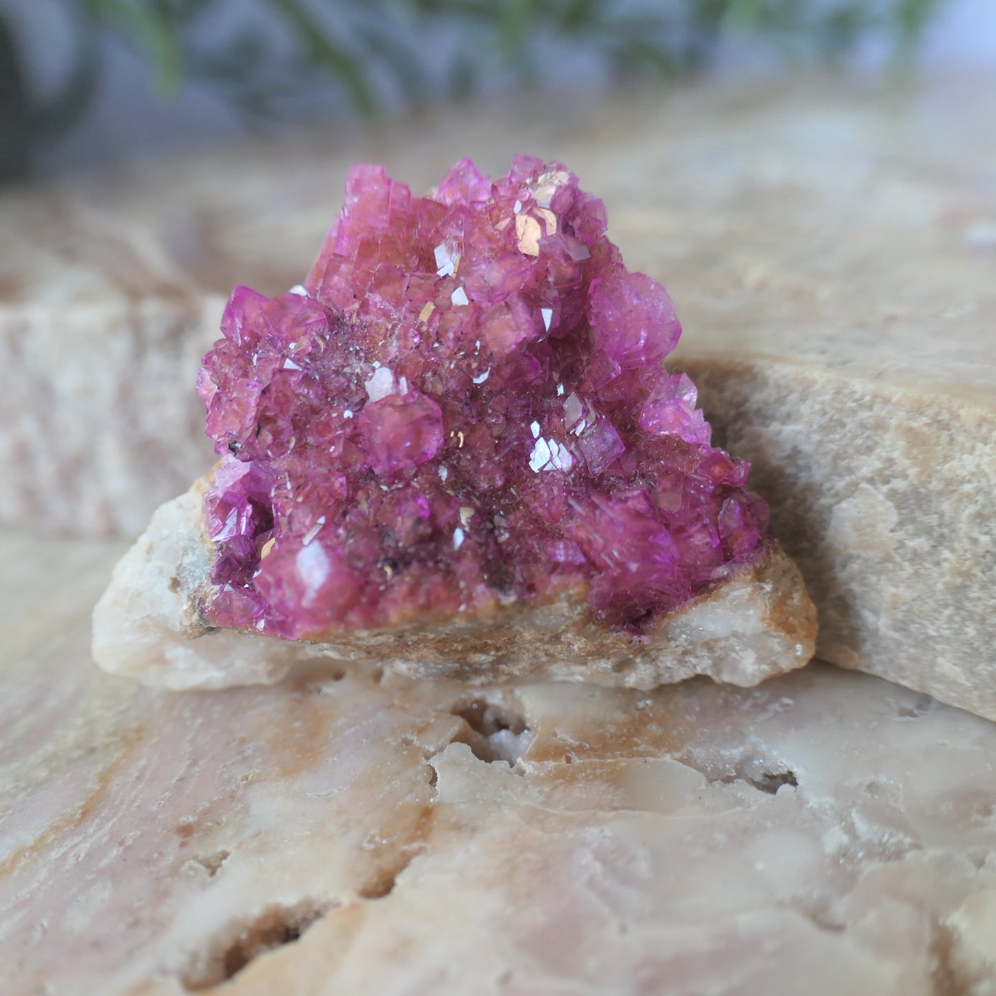 Cobaltoan Calcite - Gem Grade #4 on Matrix
