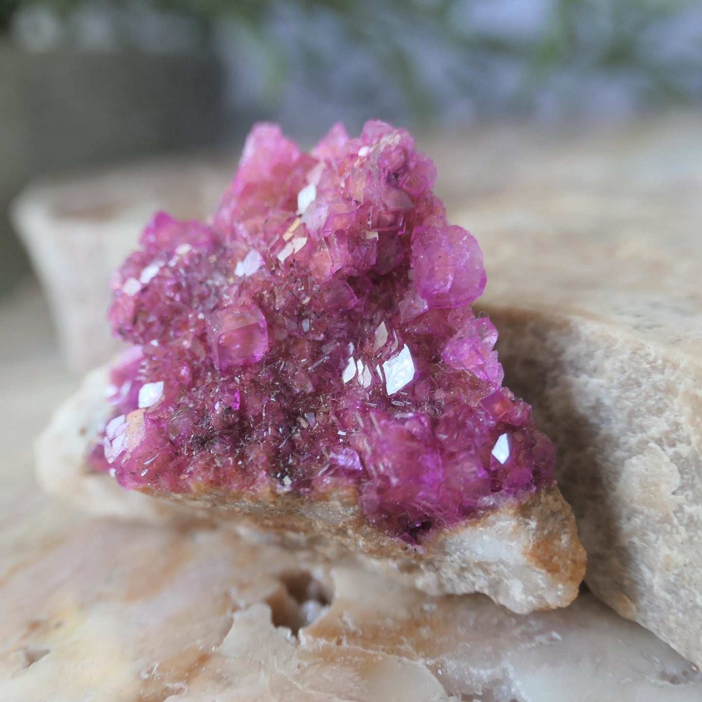 Cobaltoan Calcite - Gem Grade #4 on Matrix