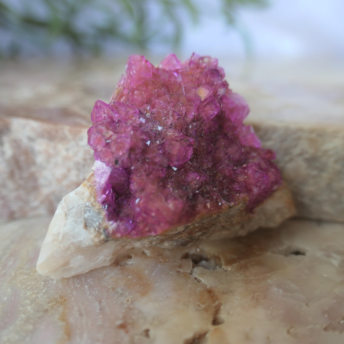 Cobaltoan Calcite - Gem Grade #4 on Matrix
