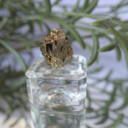 Vera Cruz Pyrite Small #1