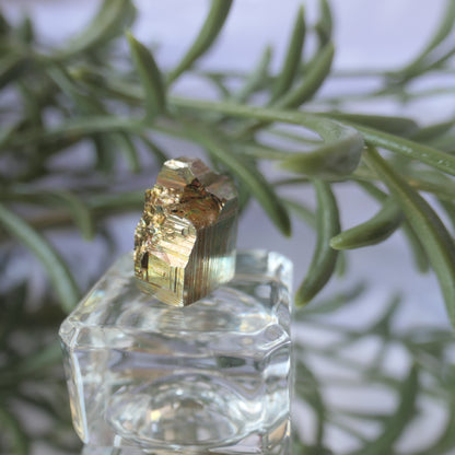 Vera Cruz Pyrite Small #1