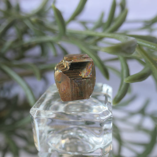 Vera Cruz Pyrite Small #2