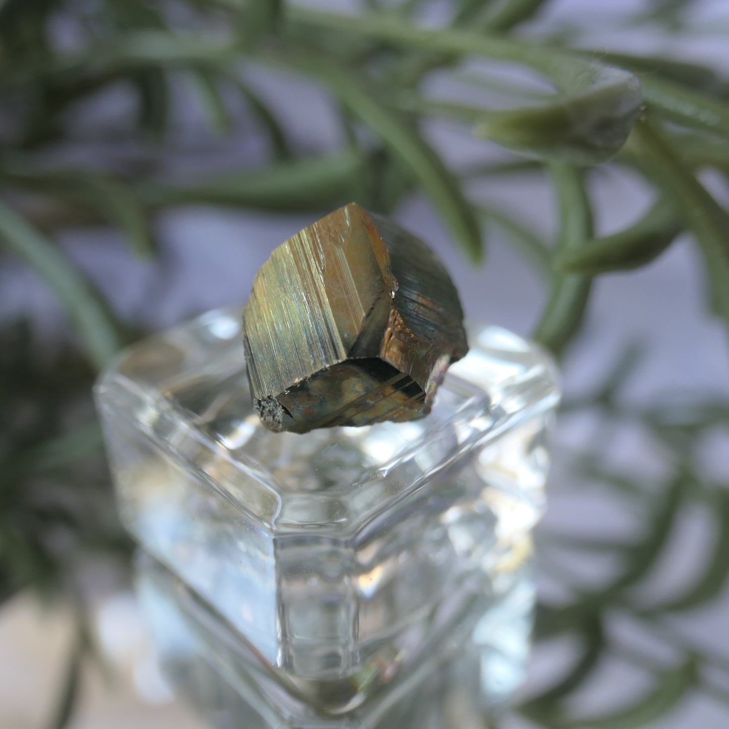 Vera Cruz Pyrite Small #4