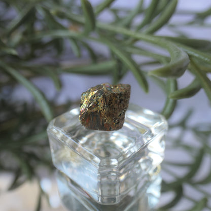 Vera Cruz Pyrite Small #4