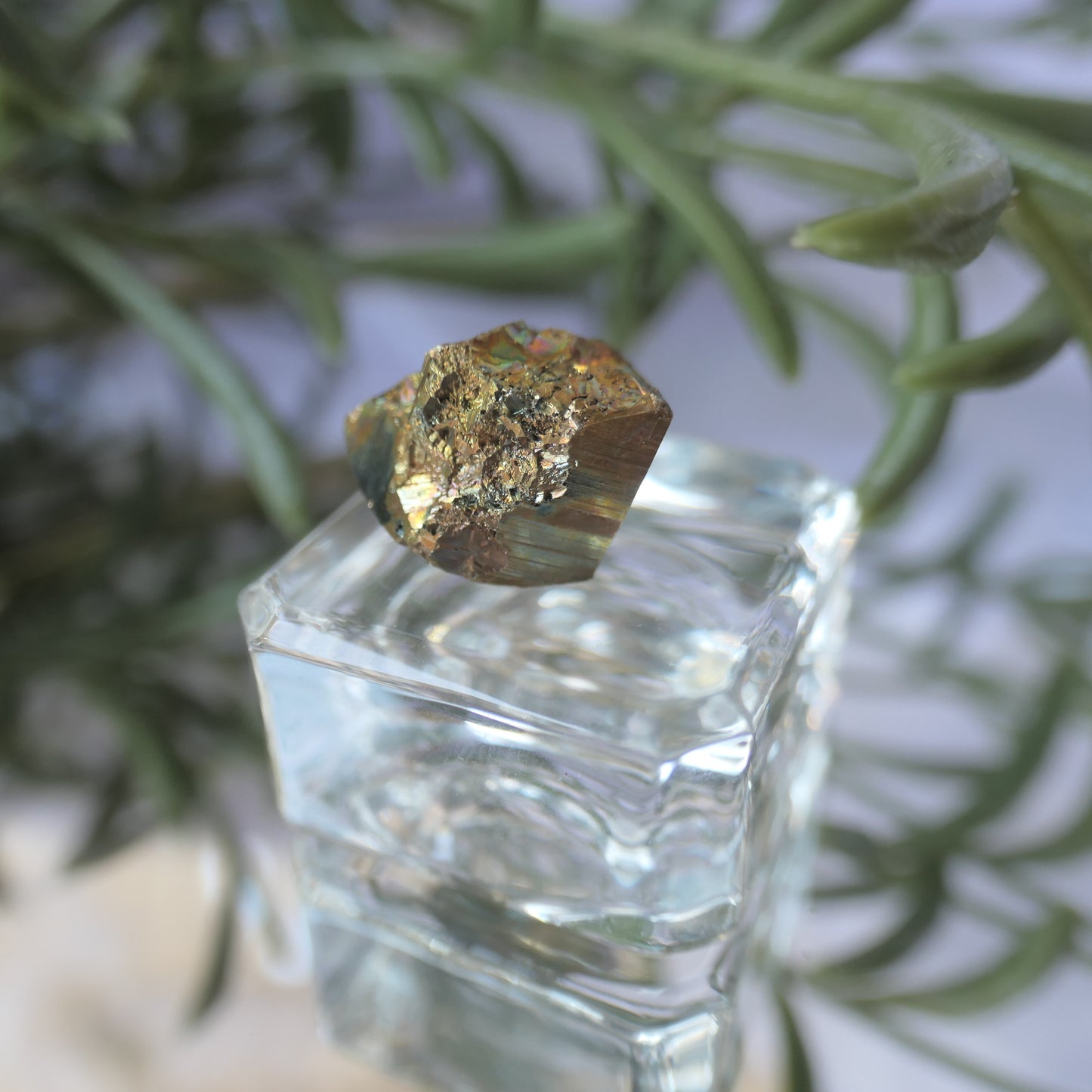Vera Cruz Pyrite Small #4