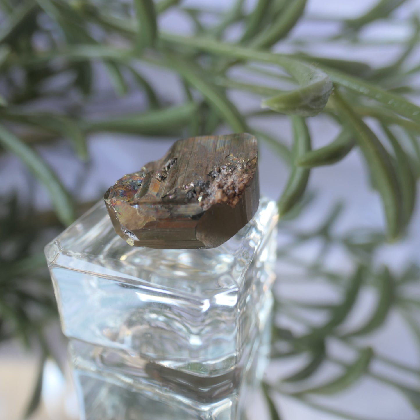 Vera Cruz Pyrite Small #5