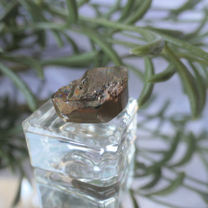 Vera Cruz Pyrite Small #5