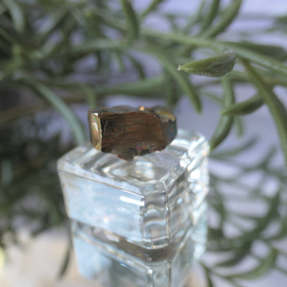 Vera Cruz Pyrite Small #5