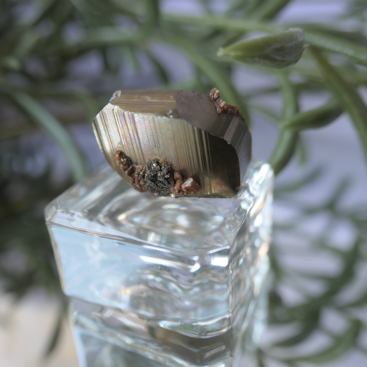 Vera Cruz Pyrite Small #5