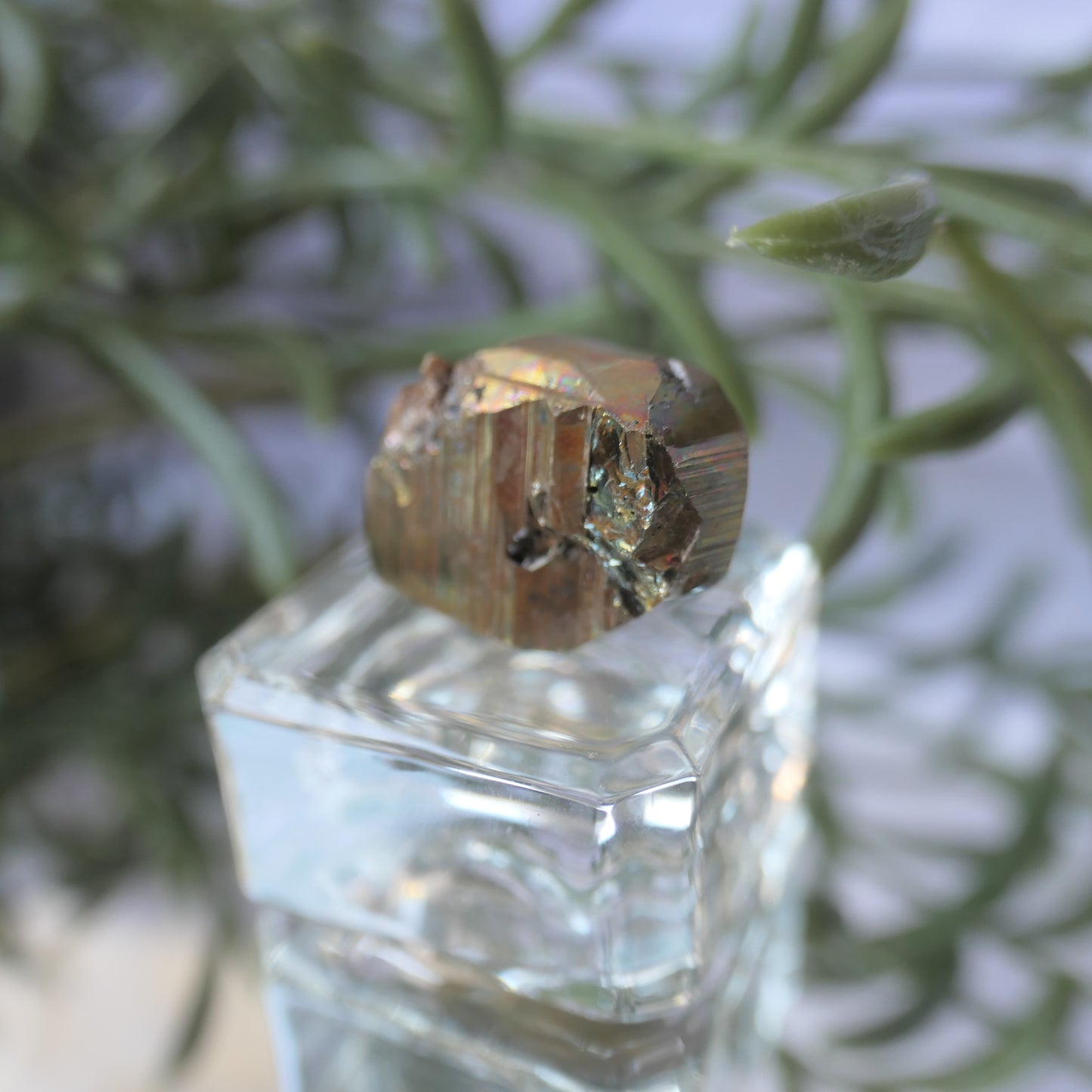 Vera Cruz Pyrite Small #5