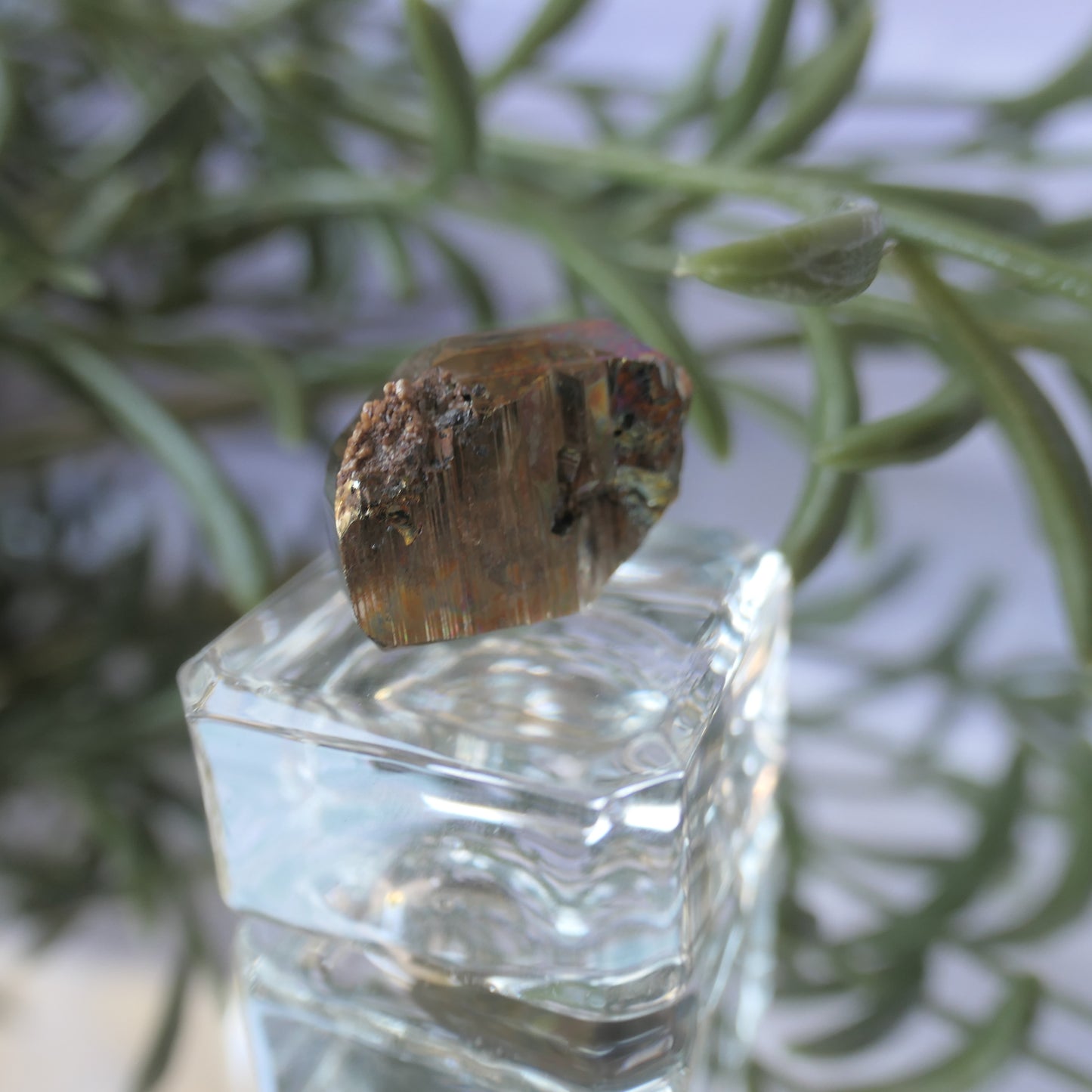 Vera Cruz Pyrite Small #5