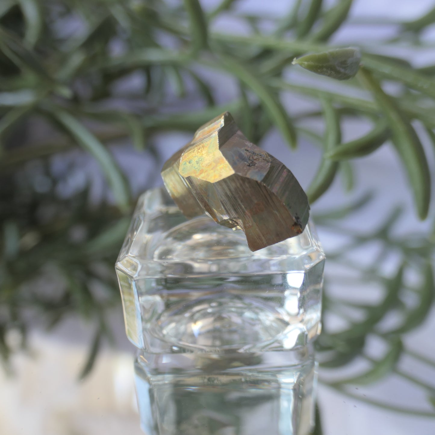 Vera Cruz Pyrite Small #6