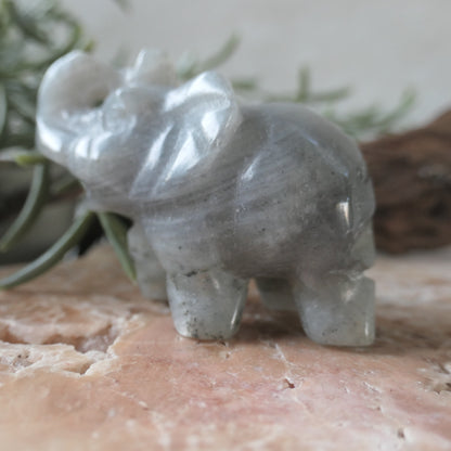 Labradorite Happy Elephant