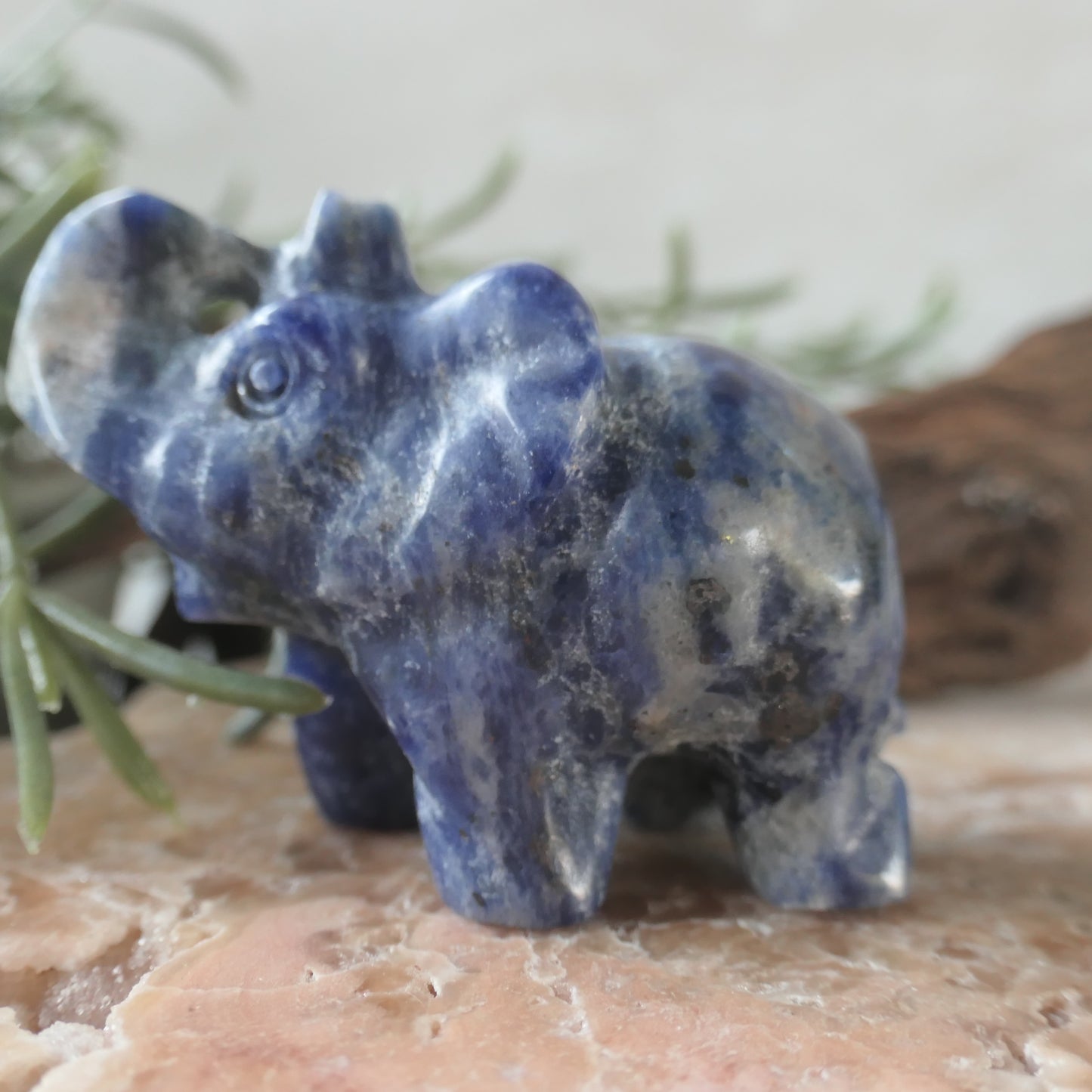 Sodalite Happy Elephant