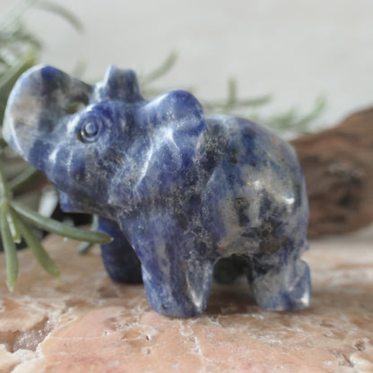 Sodalite Happy Elephant