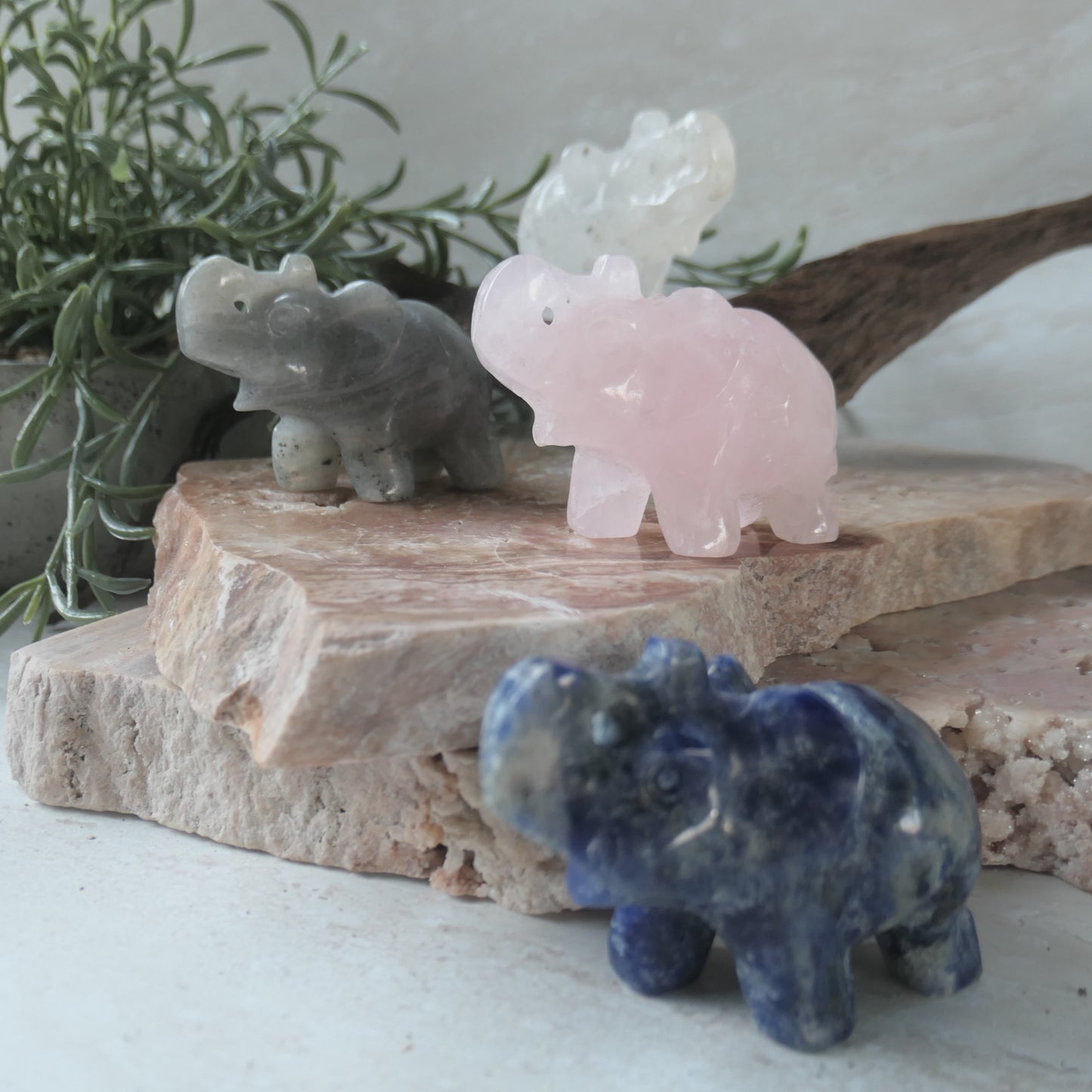 Sodalite Happy Elephant