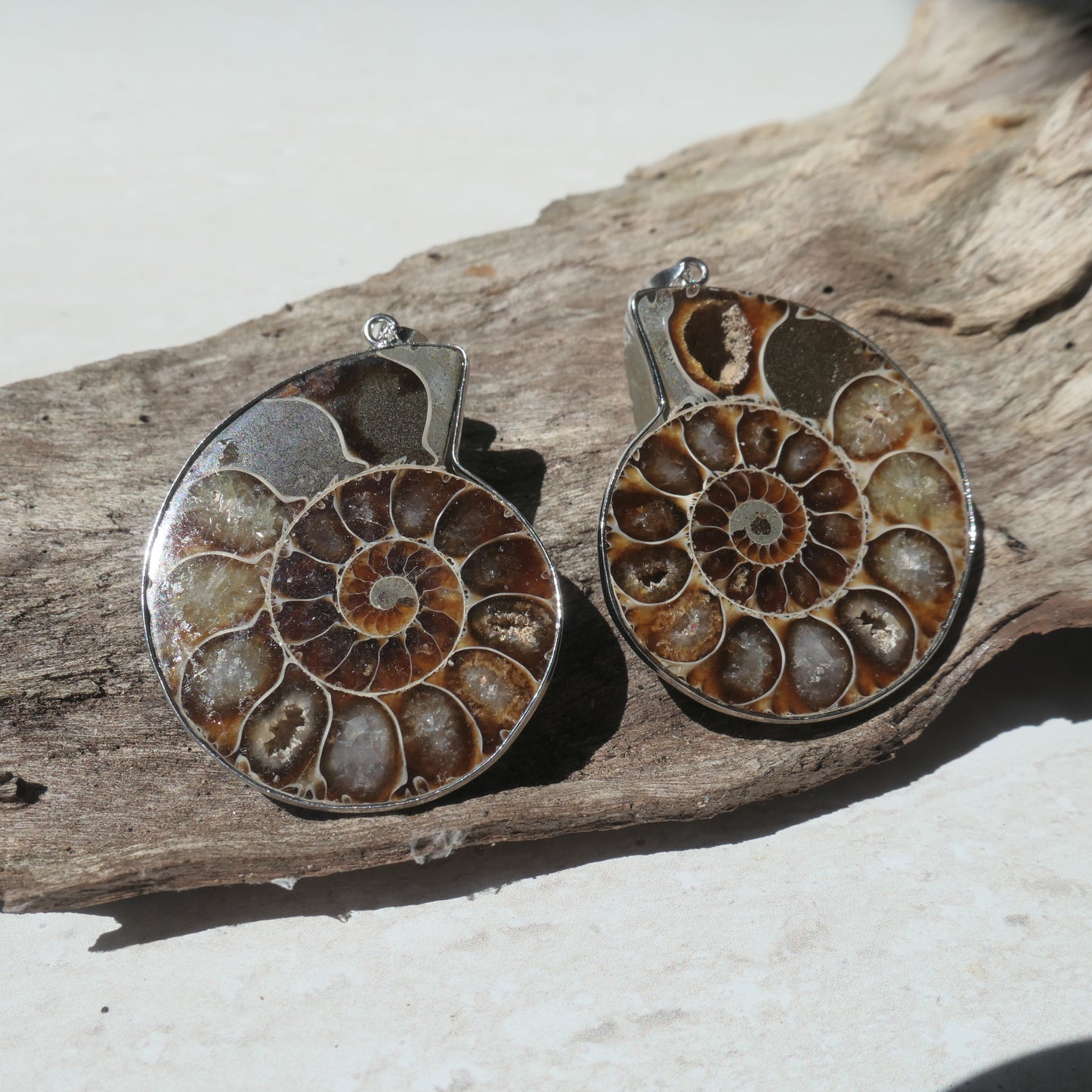 Ammonite Pendant Pair - 1