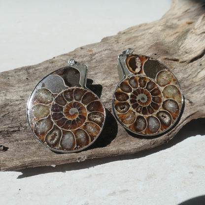 Ammonite Pendant Pair - 1