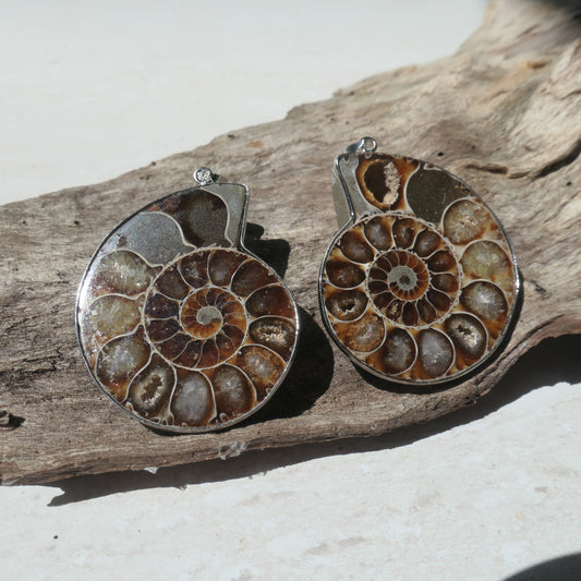 Ammonite Pendant Pair - 1