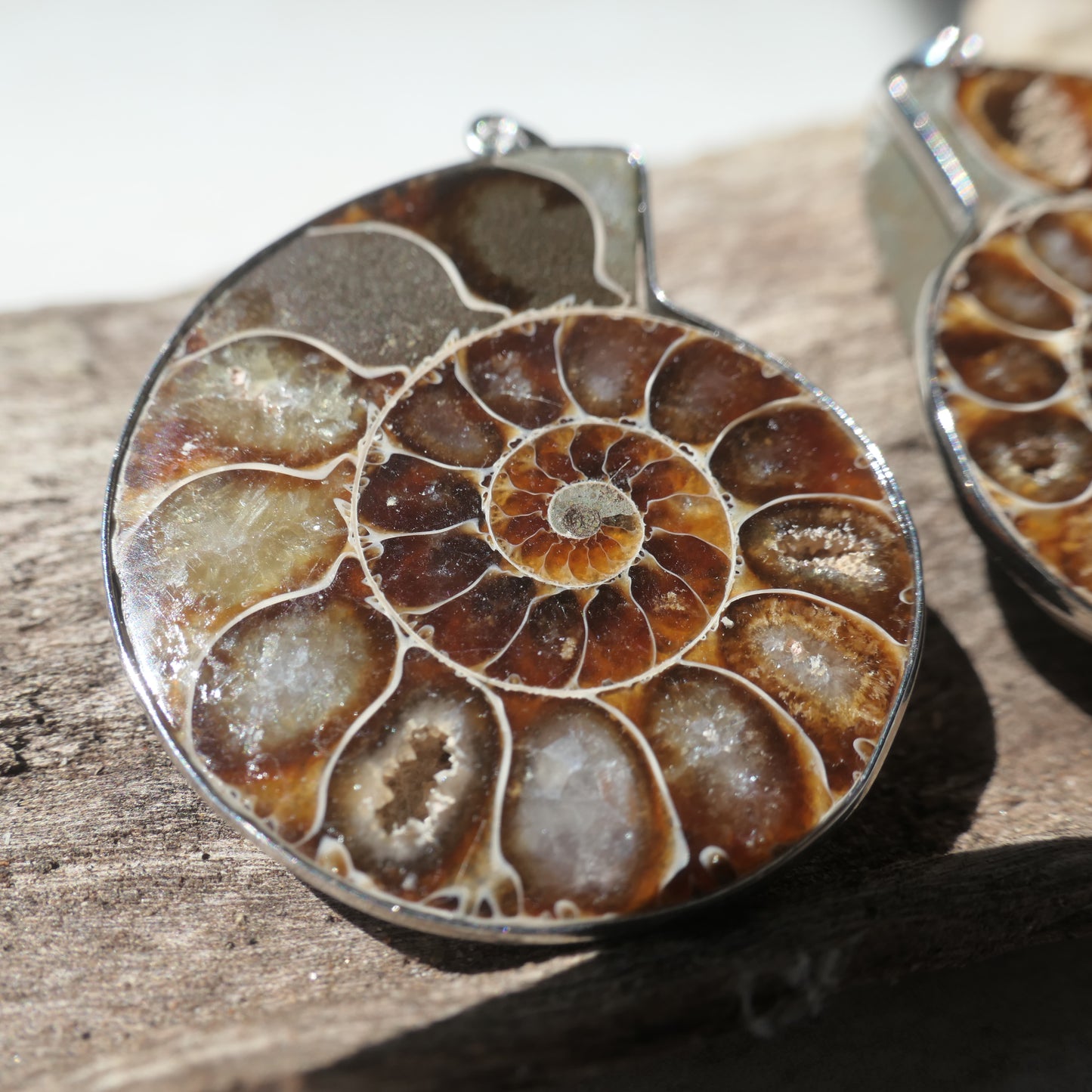 Ammonite Pendant Pair - 1