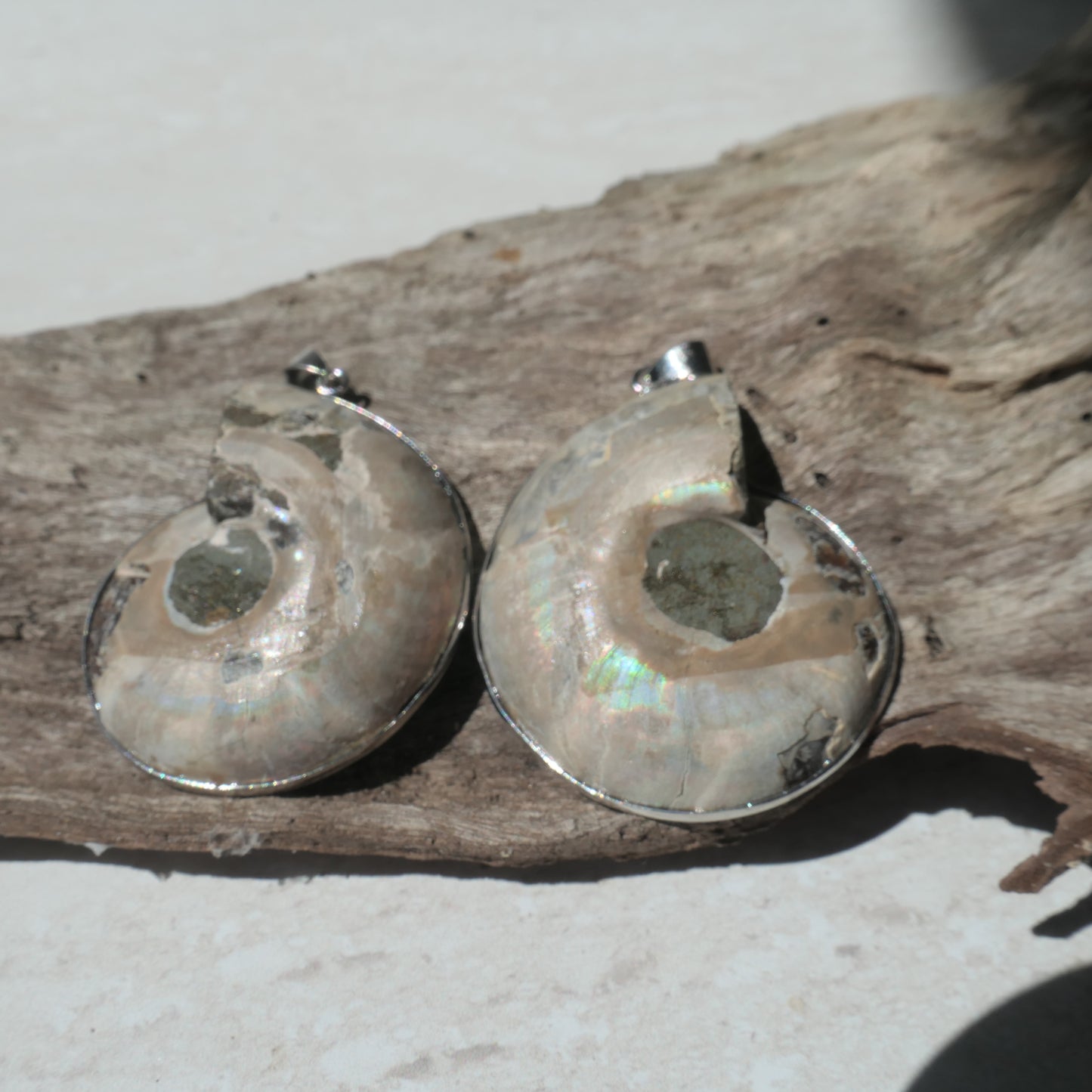 Ammonite Pendant Pair - 1
