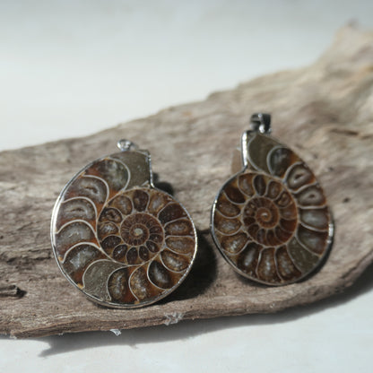 Ammonite Pendant Pair - 2