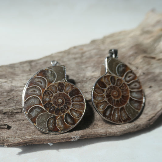 Ammonite Pendant Pair - 2