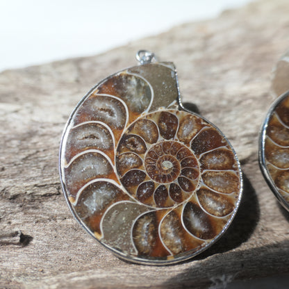 Ammonite Pendant Pair - 2