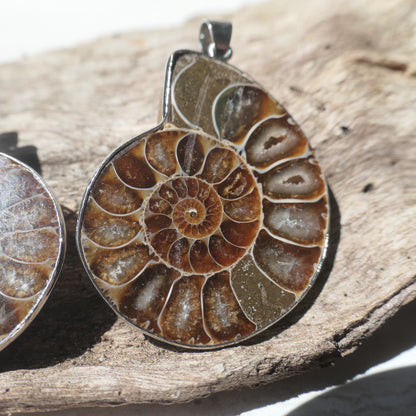 Ammonite Pendant Pair - 2