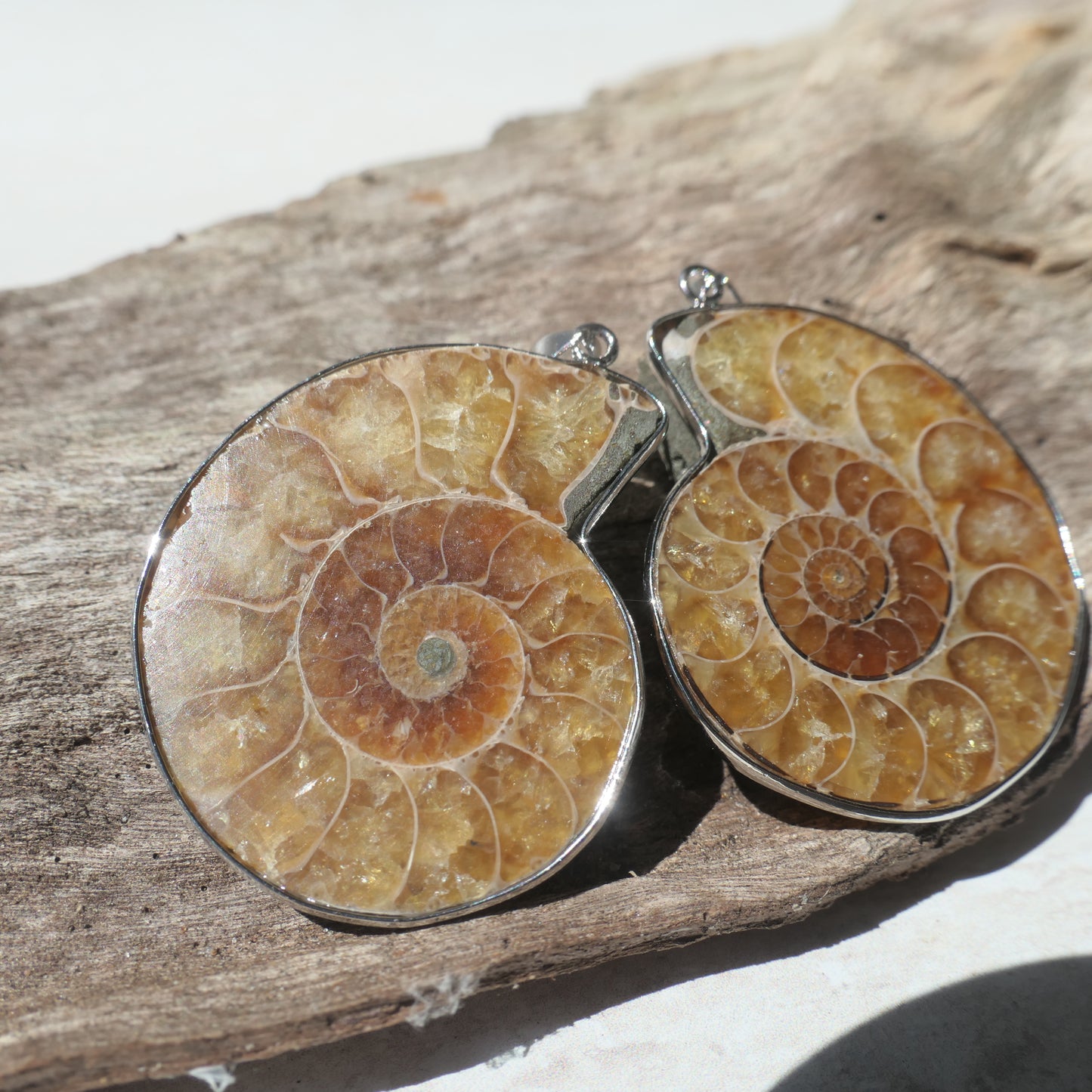 Ammonite Pendant Pair - 3