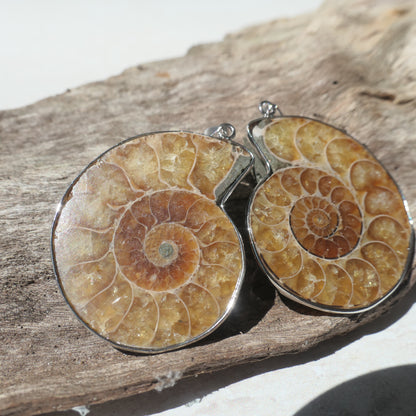 Ammonite Pendant Pair - 3