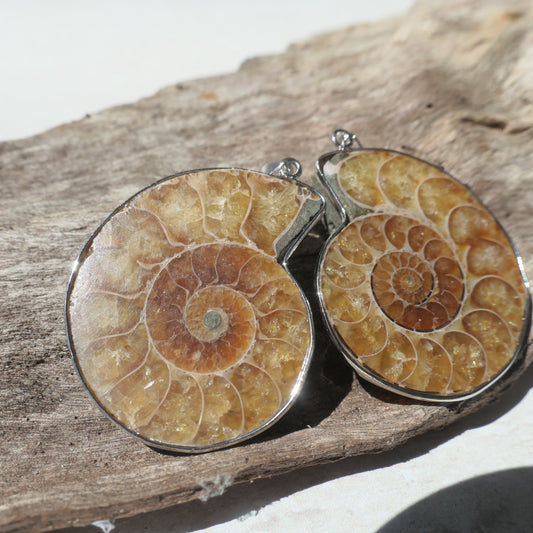 Ammonite Pendant Pair - 3