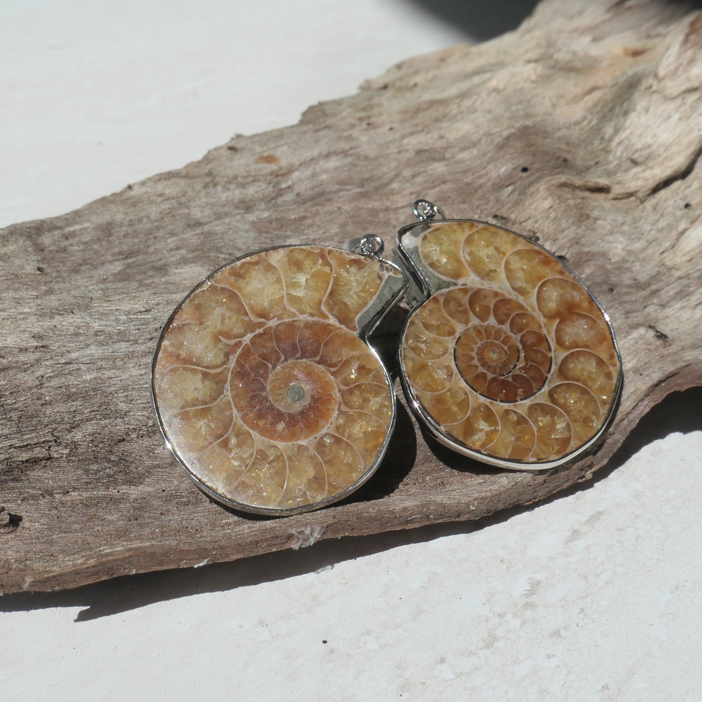 Ammonite Pendant Pair - 3