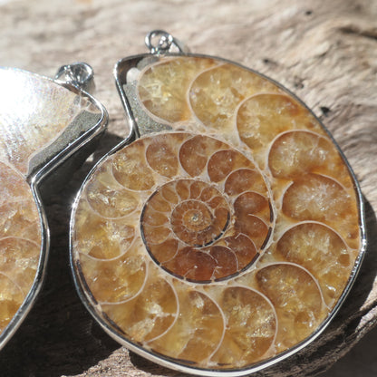 Ammonite Pendant Pair - 3