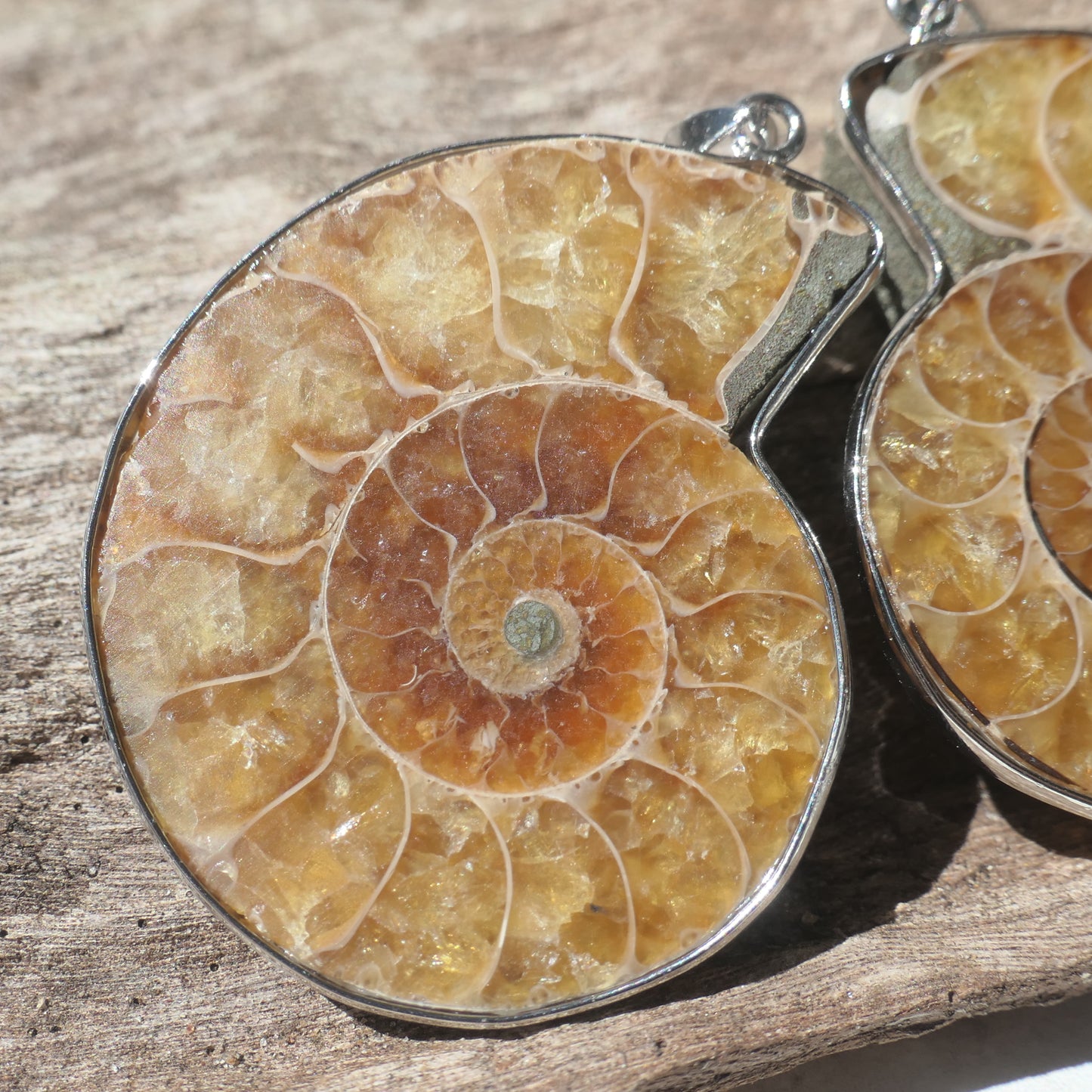 Ammonite Pendant Pair - 3