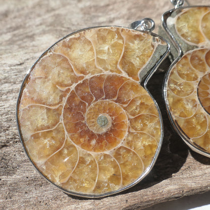 Ammonite Pendant Pair - 3