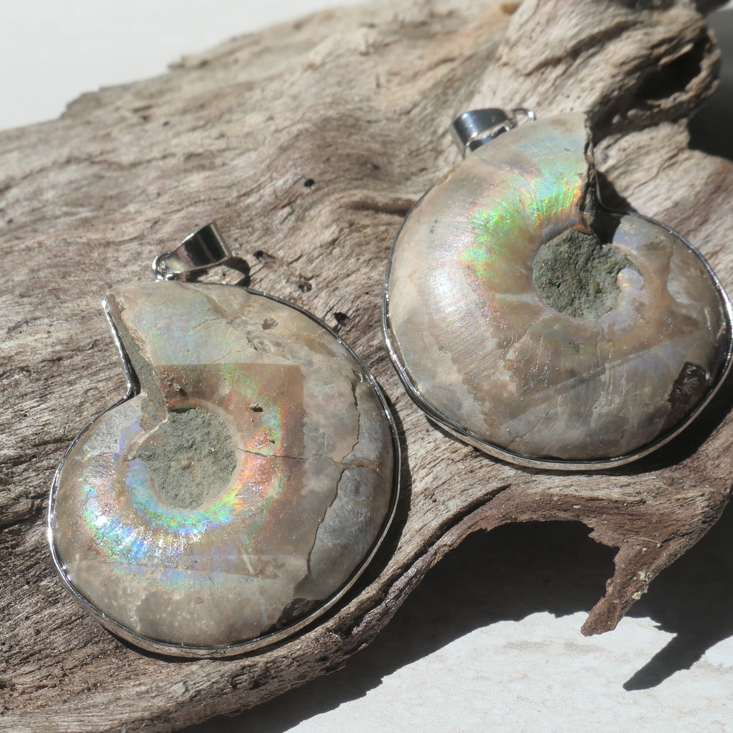 Ammonite Pendant Pair - 3