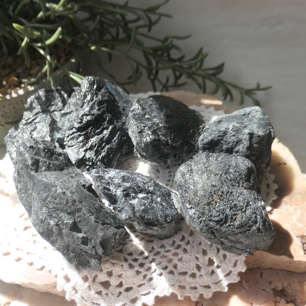 Black Tourmaline Rough Medium