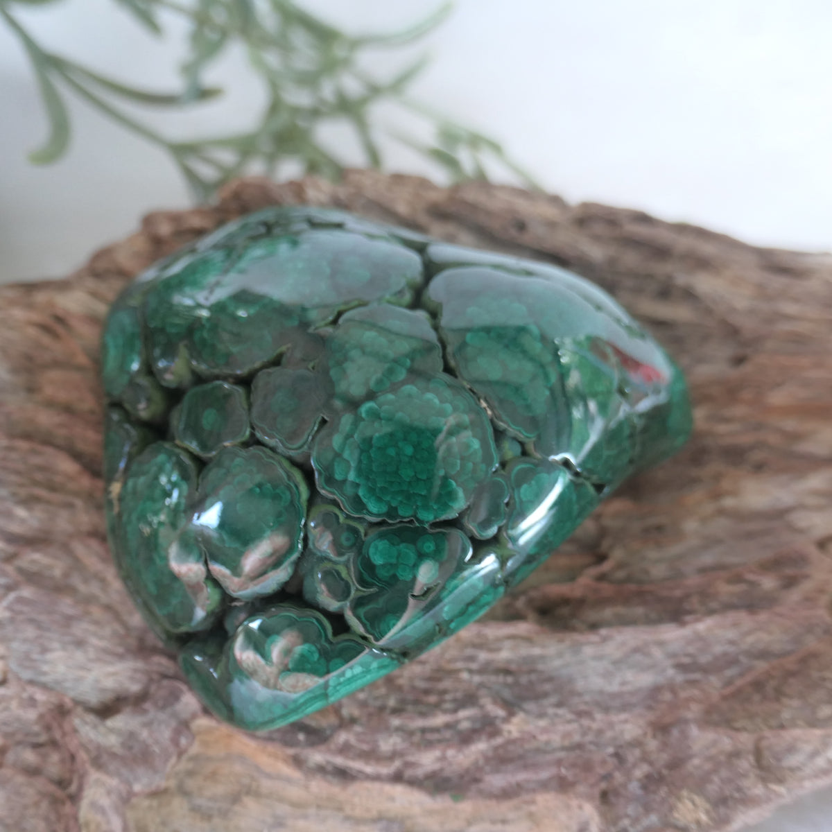 Polished Malachite Free Form 2