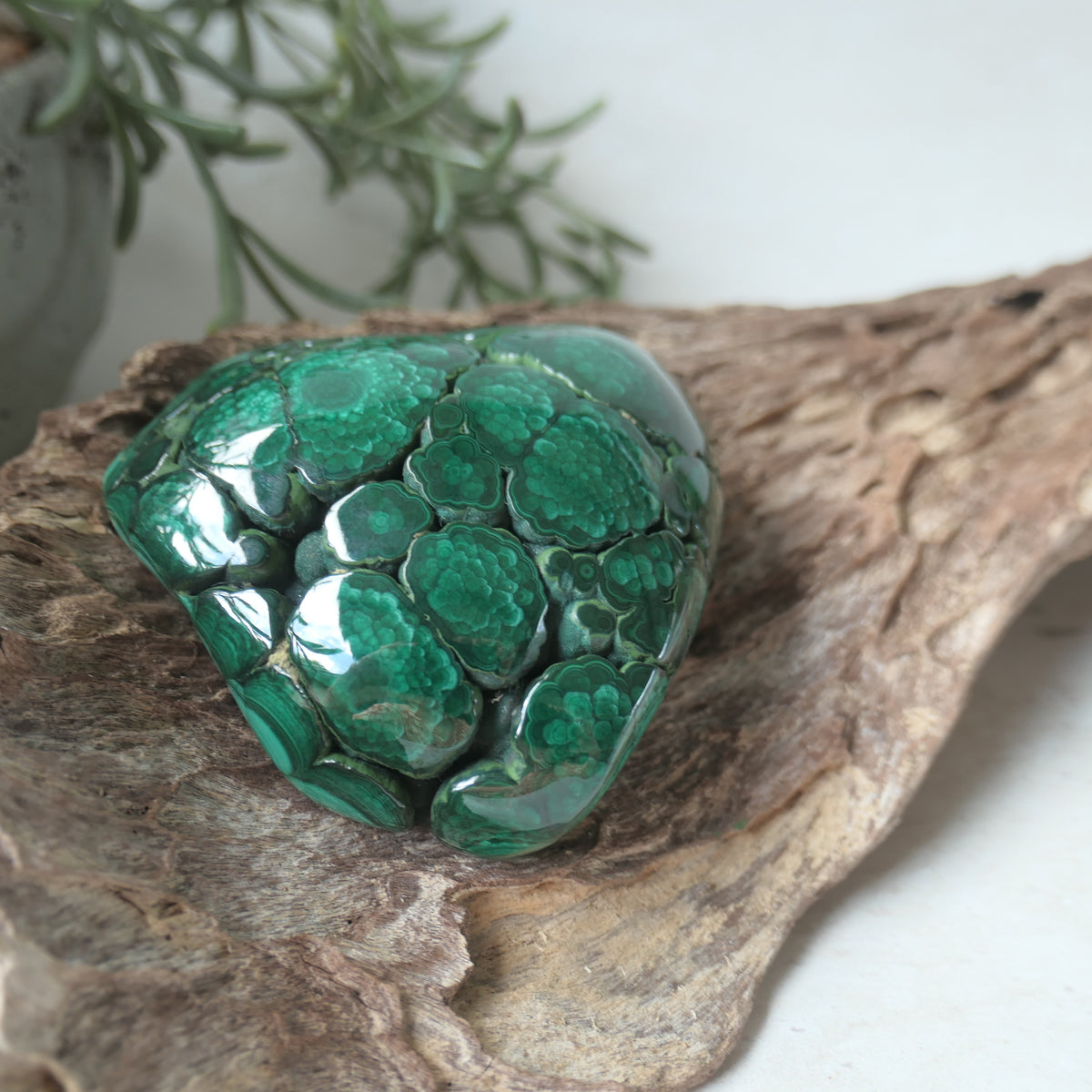 Polished Malachite Free Form 2