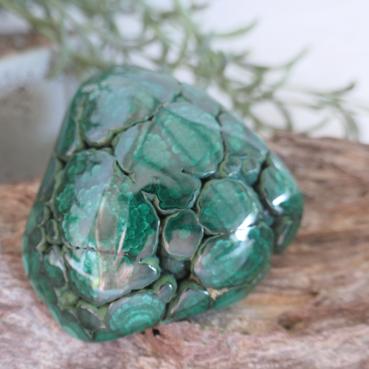 Polished Malachite Free Form 2