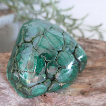 Polished Malachite Free Form 2