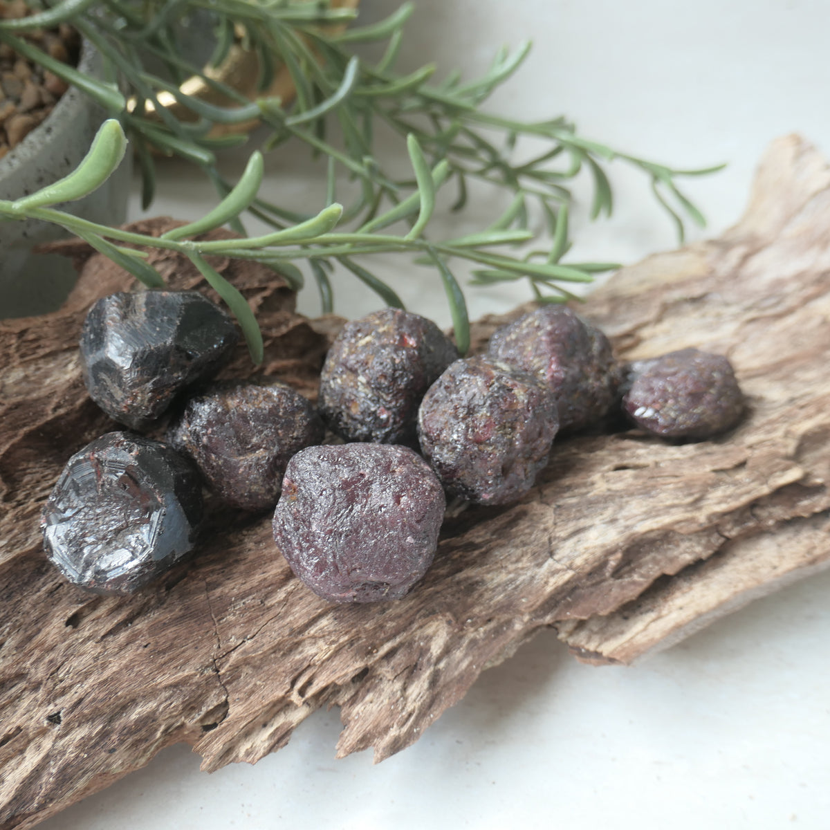 Garnet Raw 19-31mm