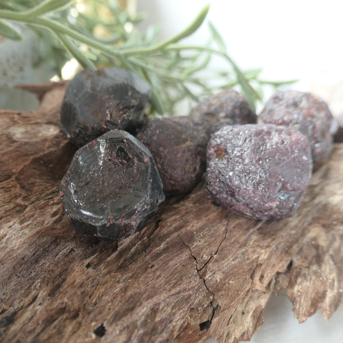 Garnet Raw 19-31mm