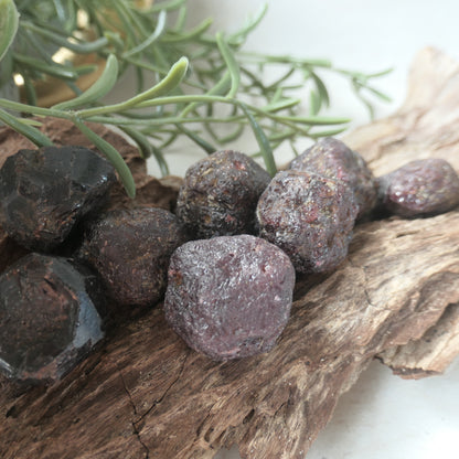 Garnet Raw 19-31mm