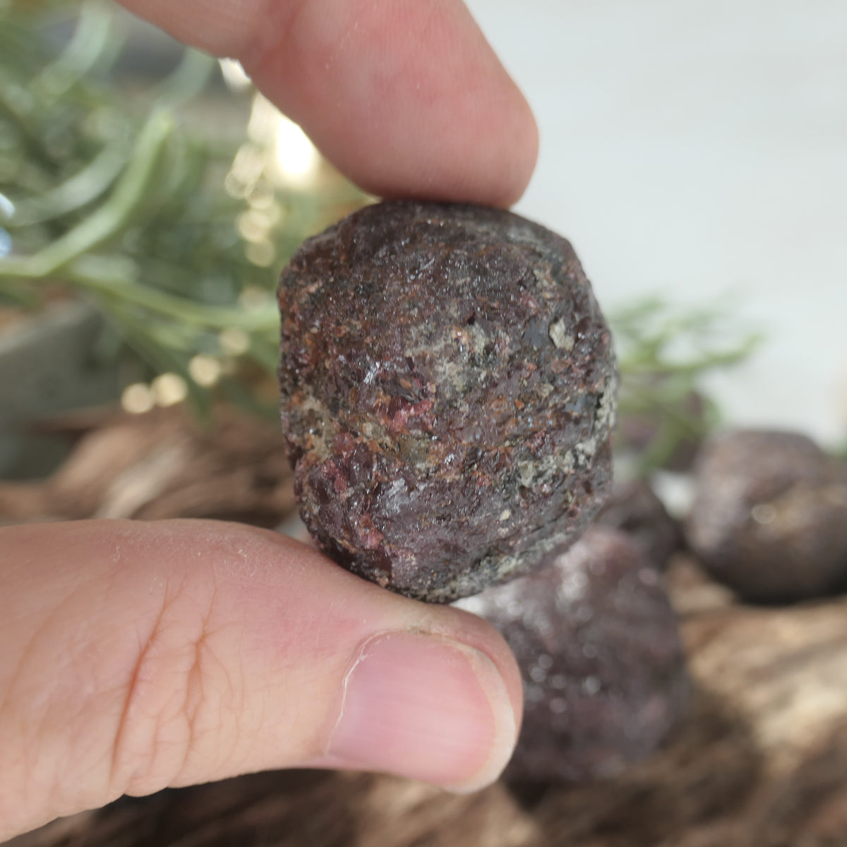 Garnet Raw 19-31mm