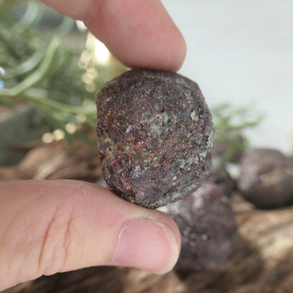Garnet Raw 19-31mm