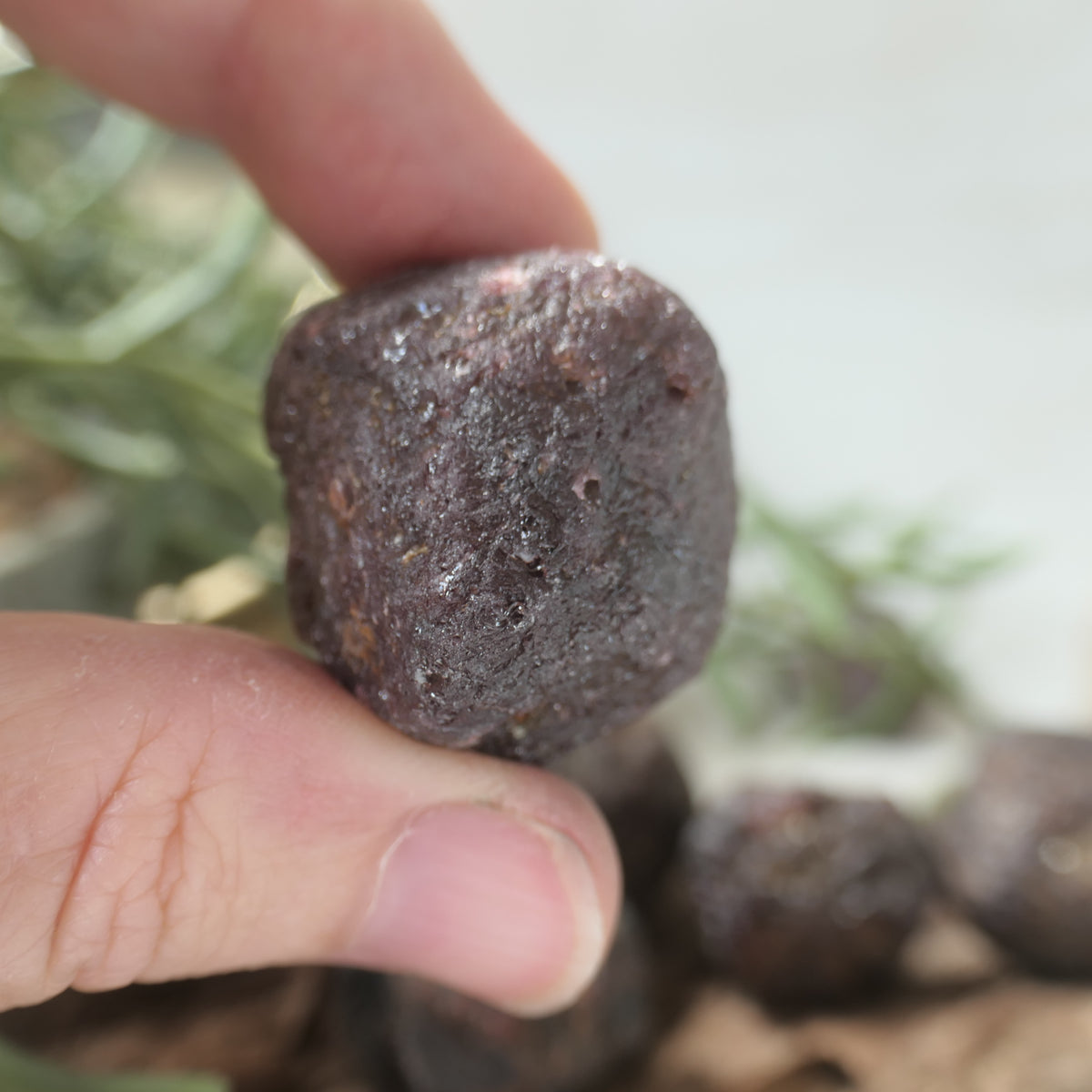 Garnet Raw 19-31mm