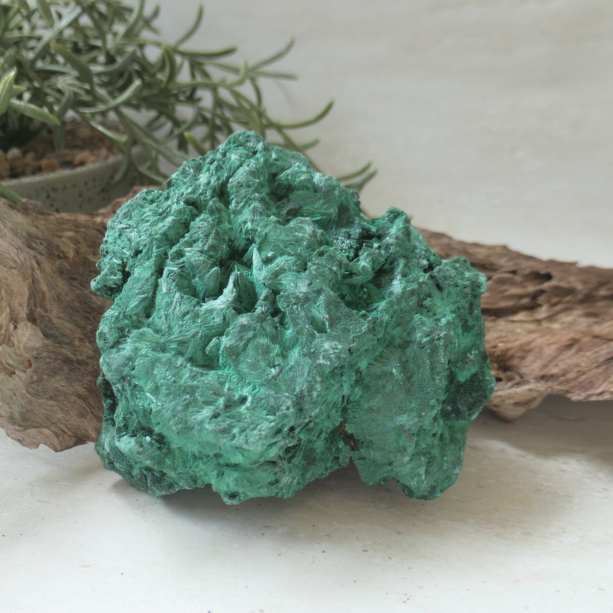 Fibrous Malachite Specimen Large