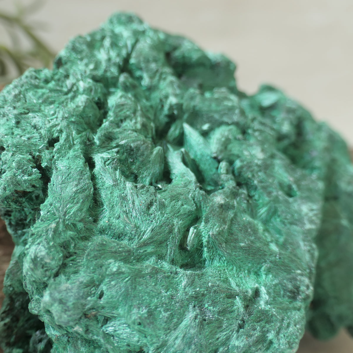 Fibrous Malachite Specimen Large